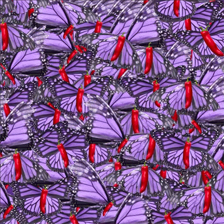 An animated loop inside Photoshop of a mouse arrow moving a purple monarch butterfly with a red chili pepper body up across the screen which is filled with other butterflies, as numbers showing orientation points flit at each intersection.