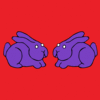 Rainbow Squared, Year 5, Piece Six, 6. Red Purple. An animated loop starting with pair of hand-drawn purple rabbits on a red background that quickly turns to two pairs, three pairs, five pairs, eight pairs, thirteen pairs, twenty-one pairs, thirty-four pairs, and on and on following the Fibonacci sequence until the whole image is completely covered with pairs of purple rabbits, obscuring the plain red background.