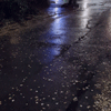 Rainbow Squared Year 5, Piece Forty-Two: 35. Blue Black White. An animated loop cropped from a video taken by Kendrick Wanamaker of a rainy Seattle street at night, with little streams of water flowing in the asphalt and leaves scattered. A stripe of white light surrounded by blue comes down from the middle top into the center.