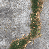 Rainbow Squared, Year 5, Piece Thirty-One: 46. Black White Green. An animated stop motion photo loop of grass growing in a crack of the sidewalk, a straight-down shot that inches forward progressing down the street and then loops.